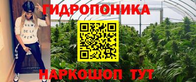 прущие грибы Гусь-Хрустальный