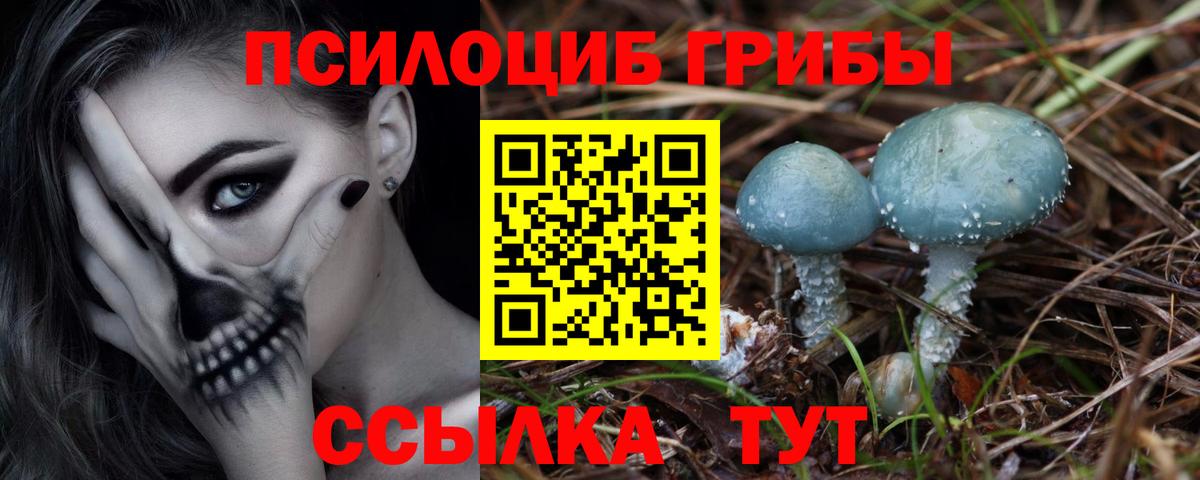 Псилоцибиновые грибы Cubensis  Вход с VPN  Дедовск 